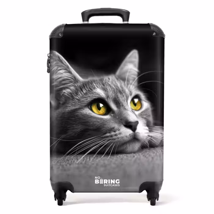 Suitcase - Black and white cat with yellow eyes