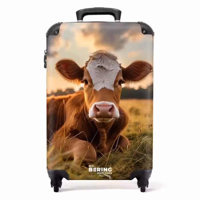 Suitcase - Cow in pasture