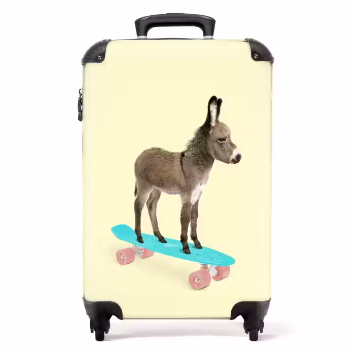 Suitcase - Donkey ride