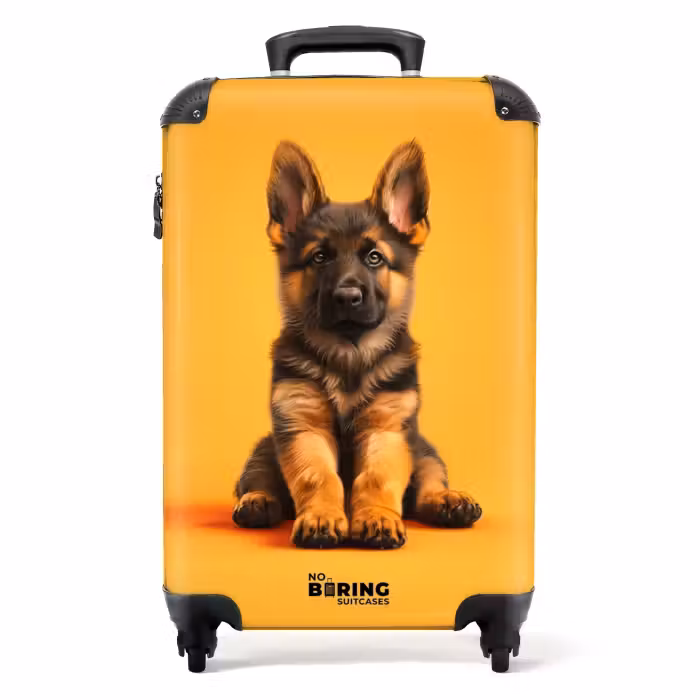 Suitcase - Hein shepherd