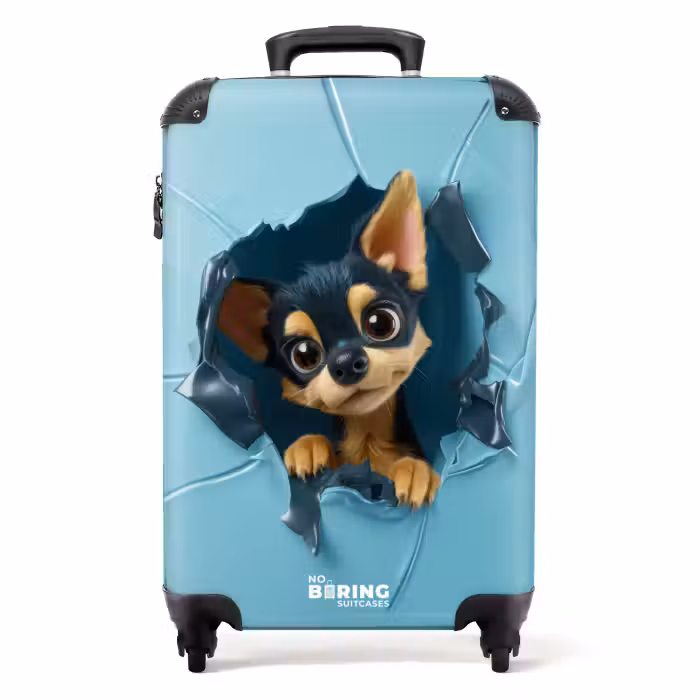 Suitcase - Small chihuahua pokes head through blue wall