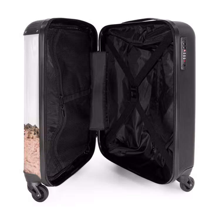 Suitcase - Car in the desert — 2