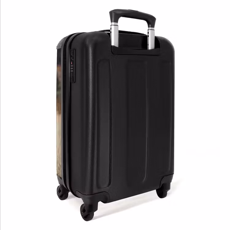 Suitcase own photo — 6