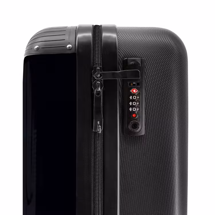 Suitcase - Side view of a horse with fiery mane — 5