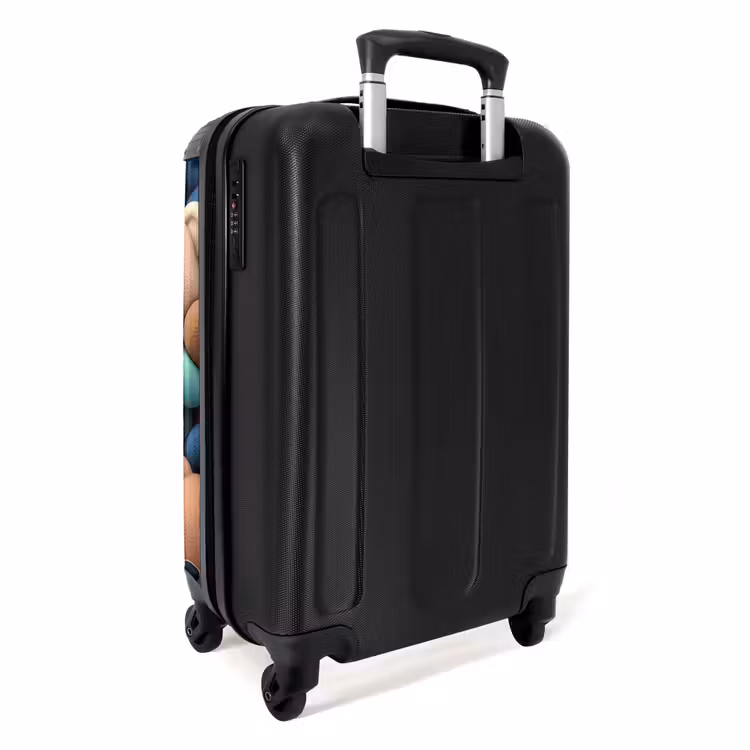 Suitcase - Bears Bonanza — 2
