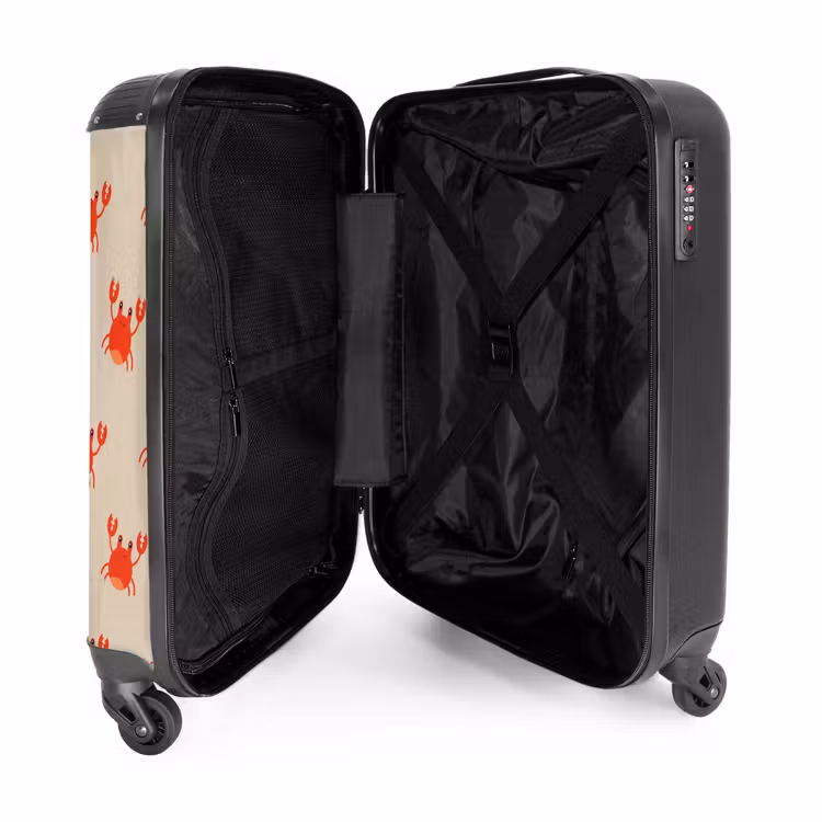 Suitcase - Crab issue — 3