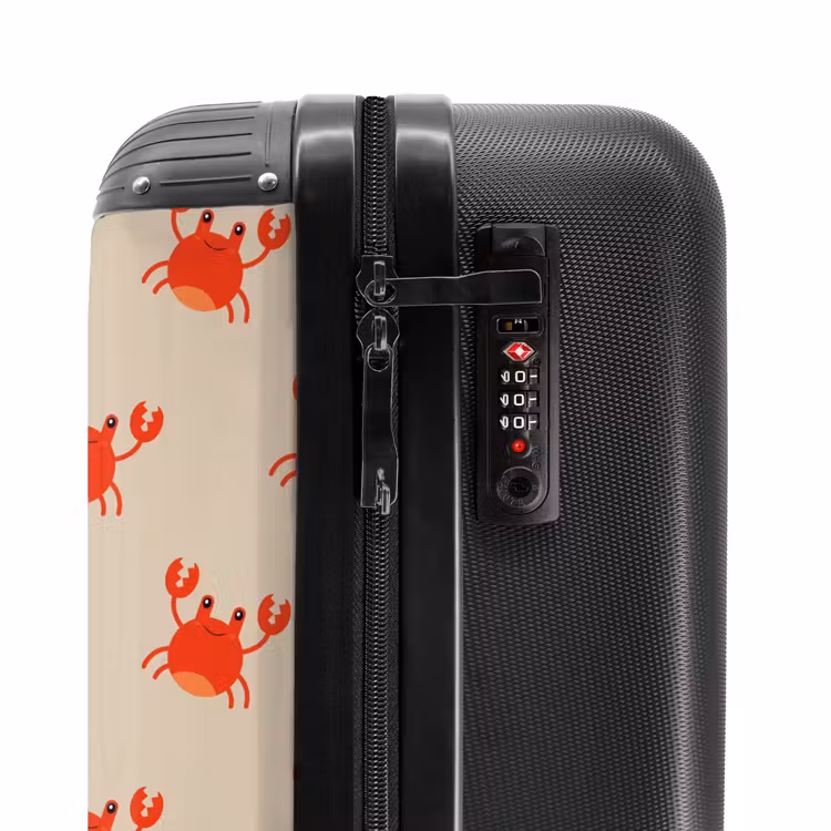 Suitcase - Crab issue — 5