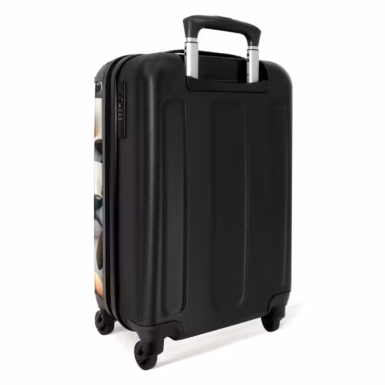 Suitcase - Rabies — 2