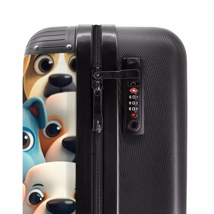 Suitcase - Rabies — 5