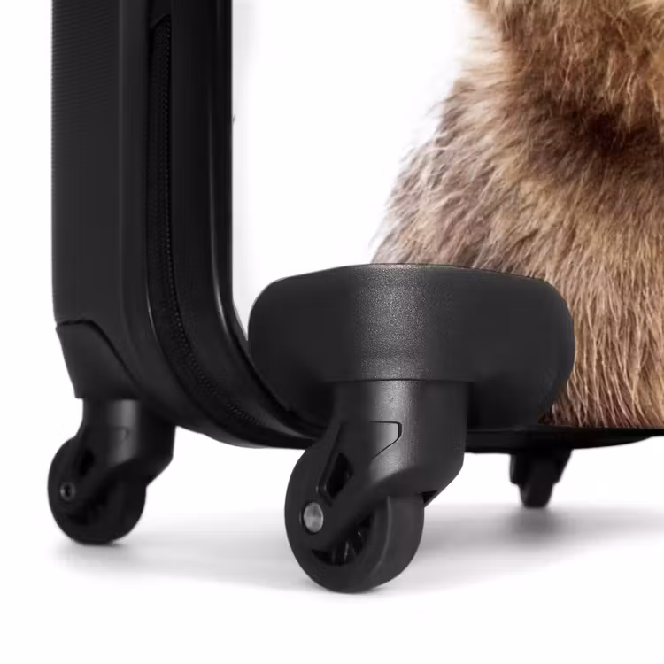 Suitcase - Bennie Bear — 6