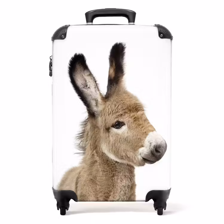 Suitcase - Eddy Donkey — 1