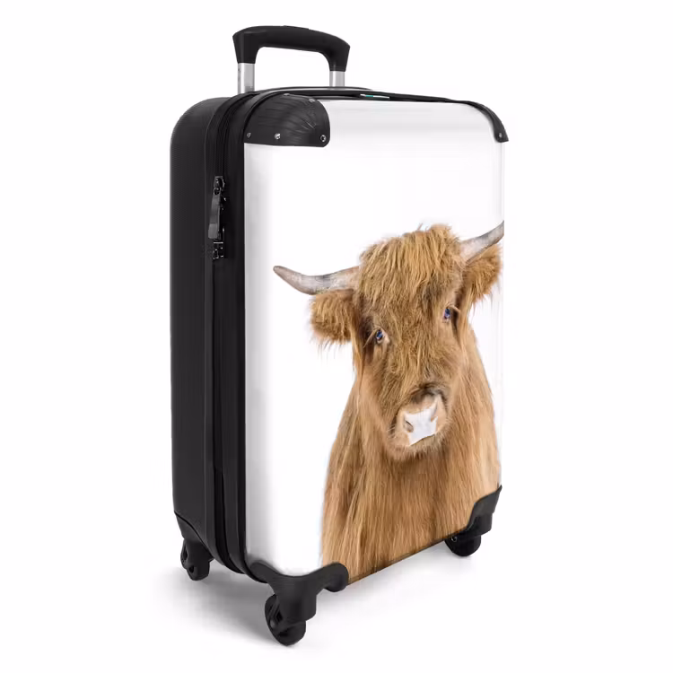Suitcase - Halbe Highlander — 4