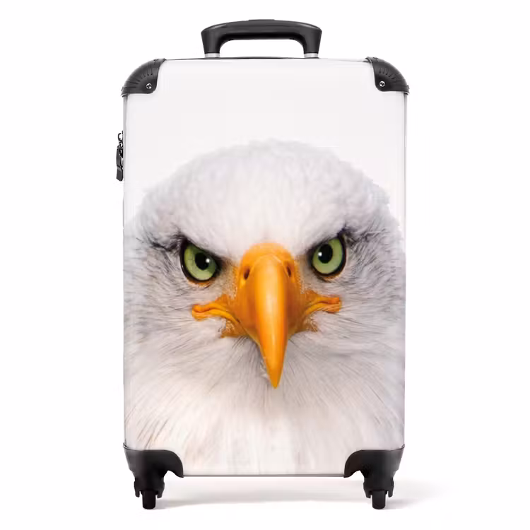 Suitcase - Harry the Hawk — 1