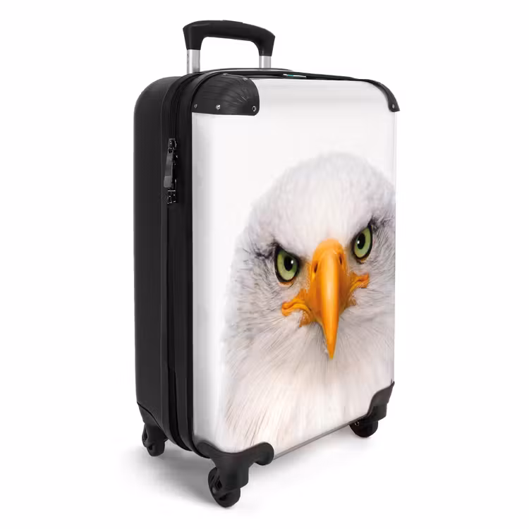 Suitcase - Harry the Hawk — 4