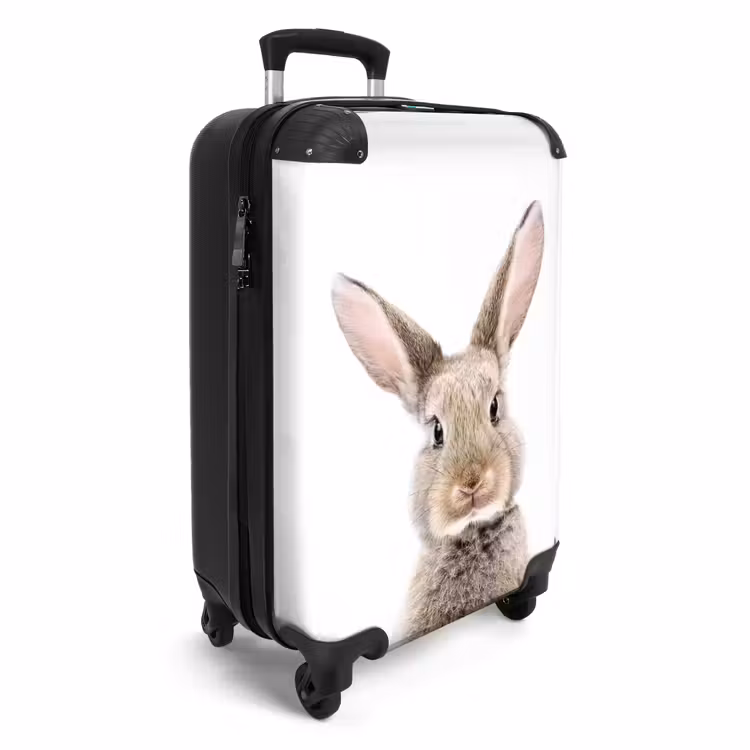 Suitcase - Koen Rabbit — 4