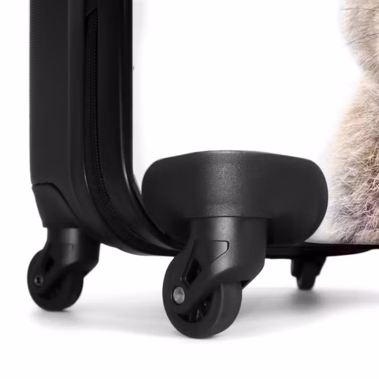 Suitcase - Koen Rabbit — 6