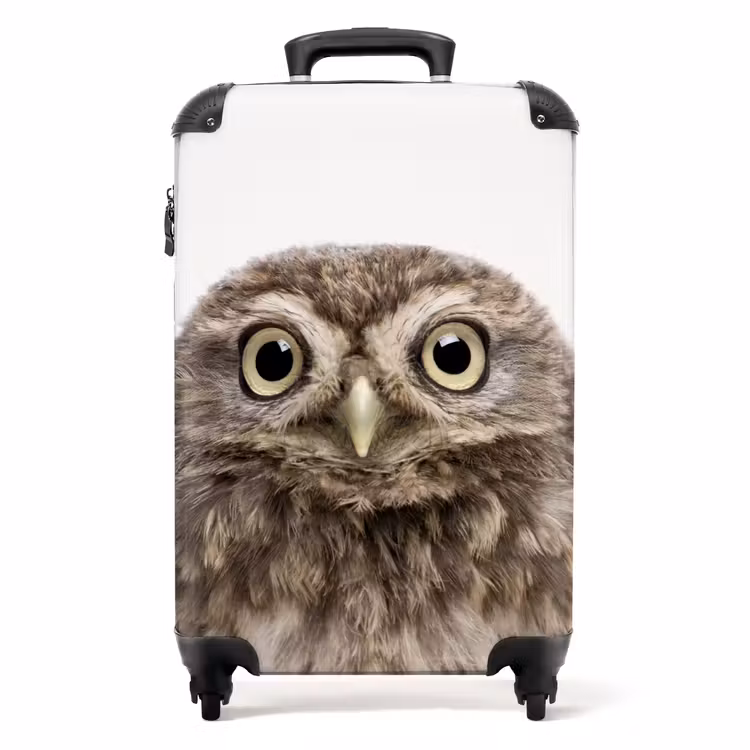 Suitcase - Ulke Owl — 1