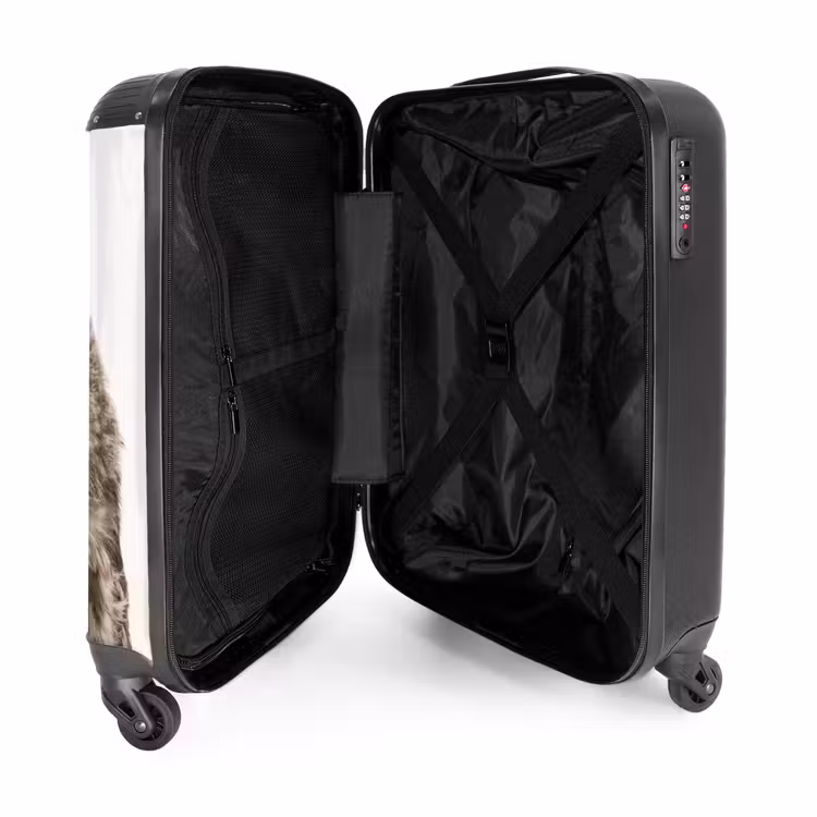 Suitcase - Ulke Owl — 3