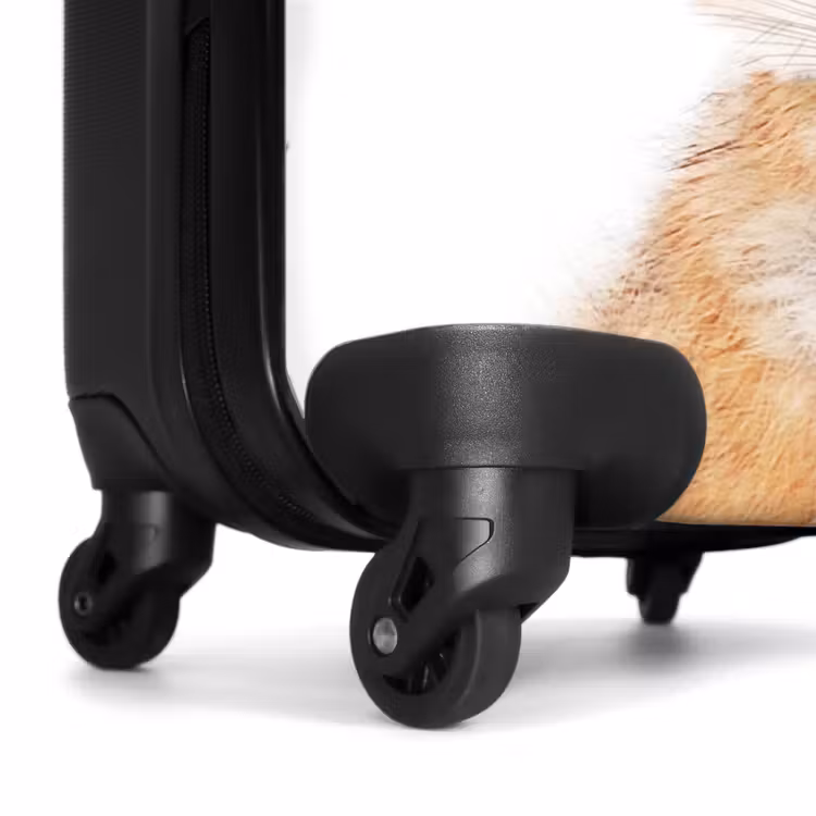 Suitcase - Vicky Fox — 6