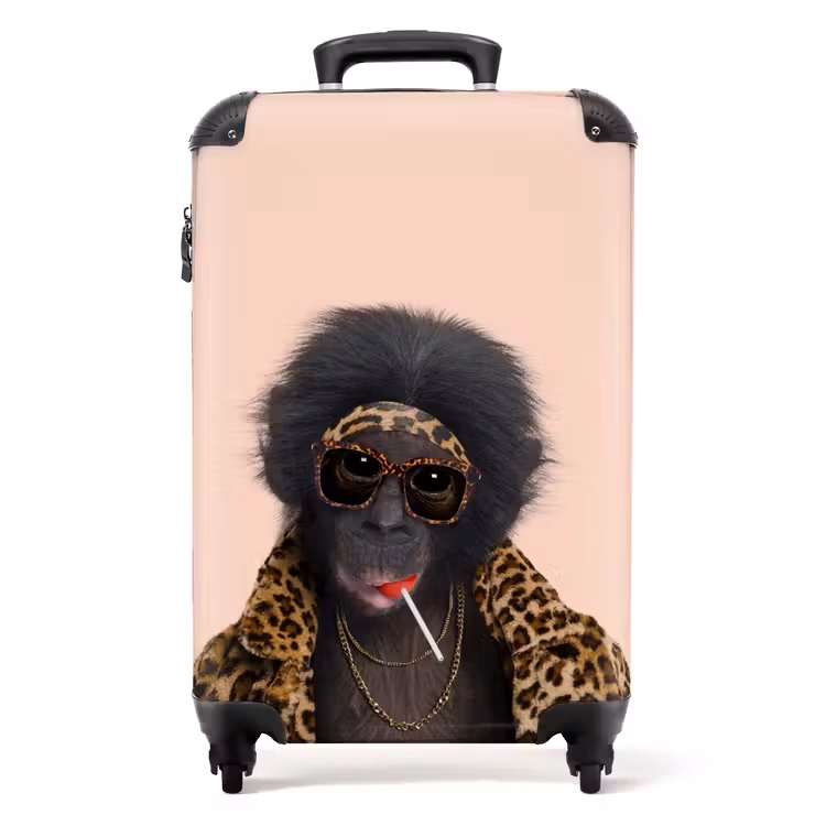 Suitcase - Monkey with Loly — 1