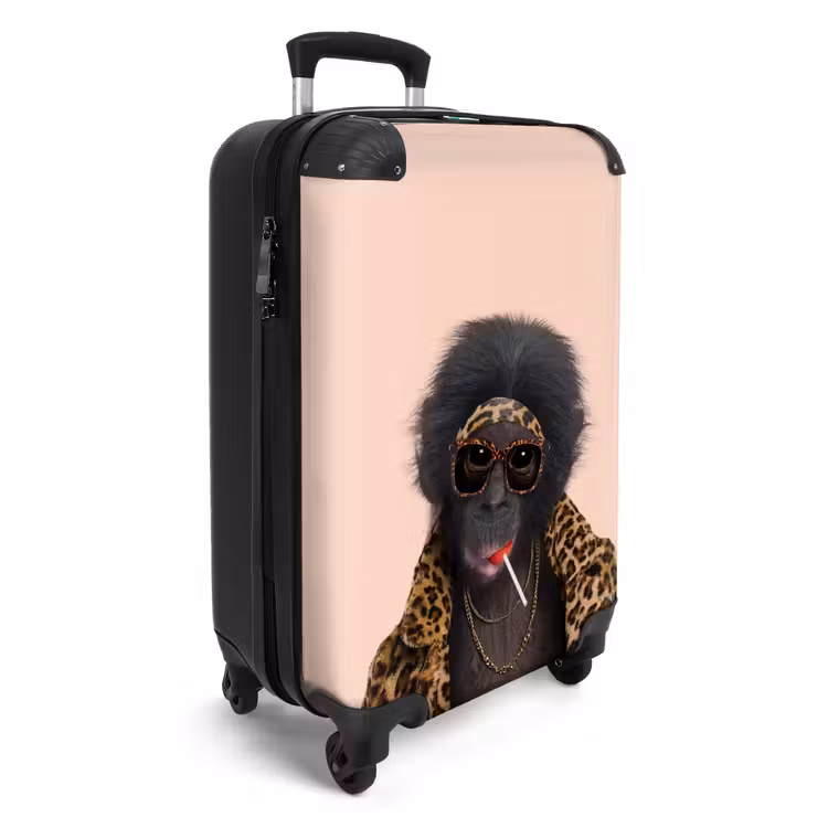 Suitcase - Monkey with Loly — 4