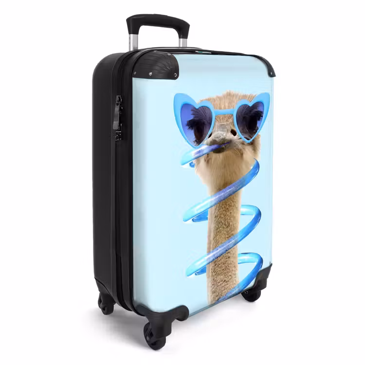Suitcase - Sierk Ostrich Blue — 4