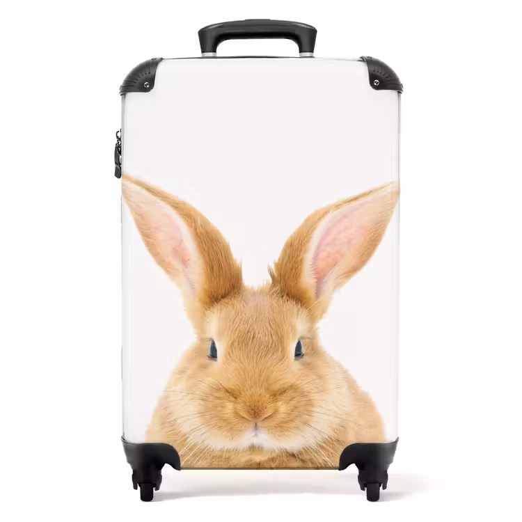 Suitcase - Sniffles with Satisfied Head — 1