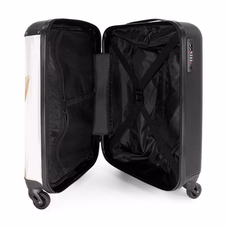 Suitcase - Sniffles with Satisfied Head — 3
