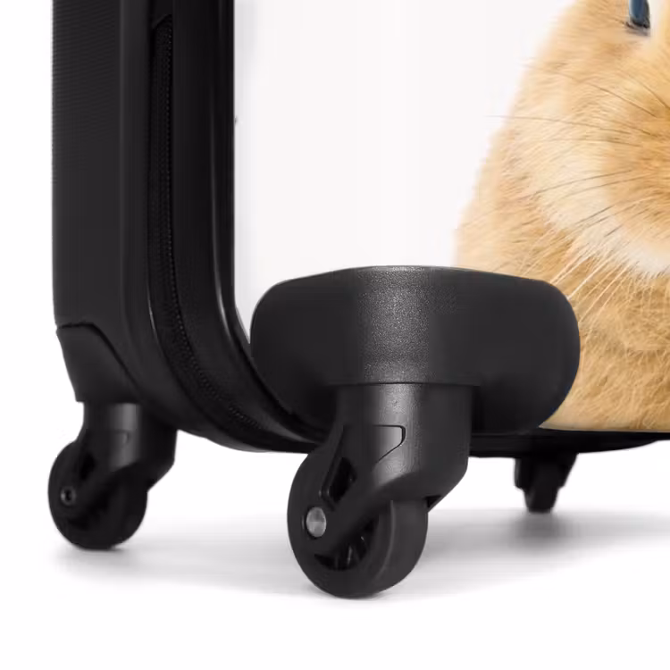 Suitcase - Sniffles with Satisfied Head — 6