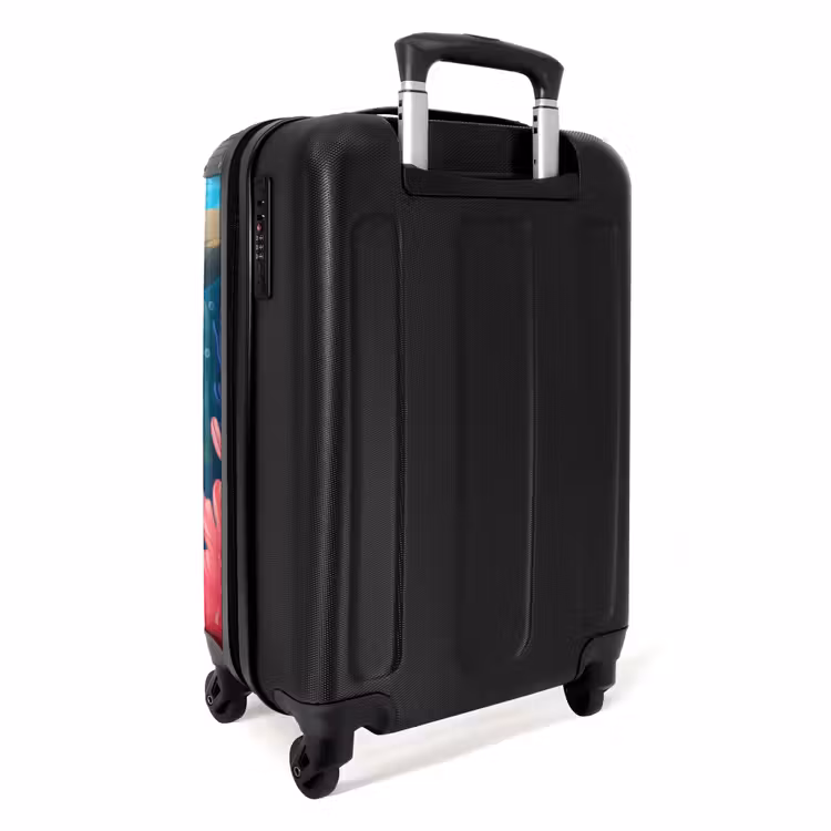 Suitcase - Dolphin Dolphin — 2