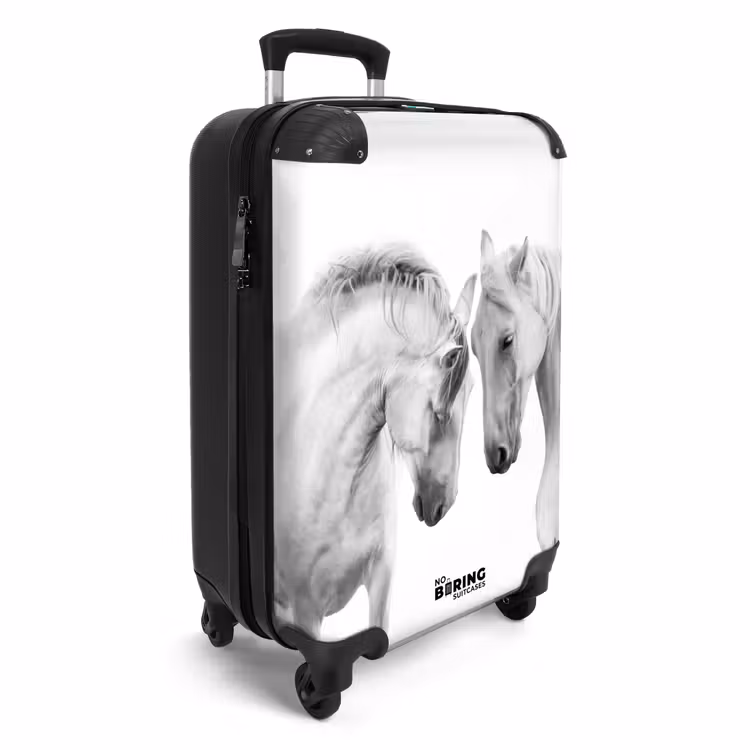 Suitcase - Sympathetic span — 4