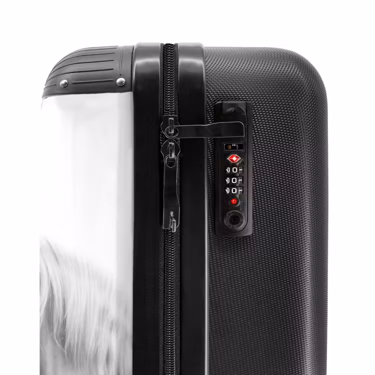 Suitcase - Sympathetic span — 5