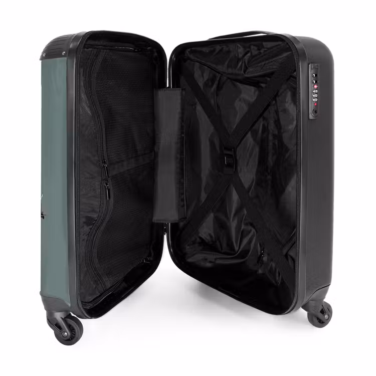 Suitcase - Car in ghost town — 3