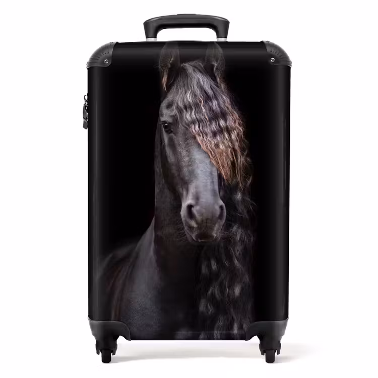 Suitcase - Friesian stallion — 1