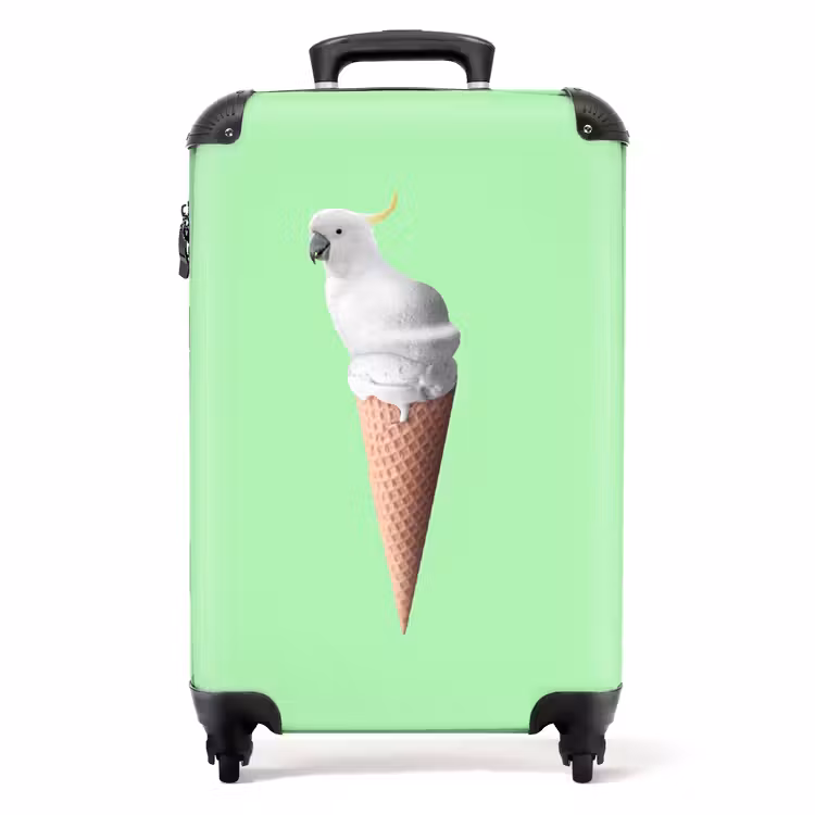 Suitcase - Cockatoo cone — 1