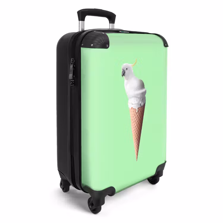 Suitcase - Cockatoo cone — 4