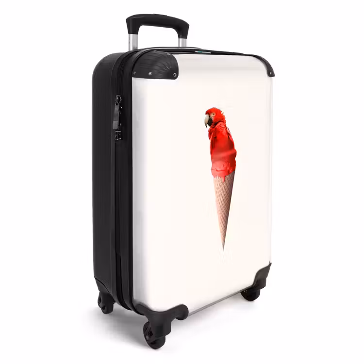 Suitcase - Parrot cone — 4