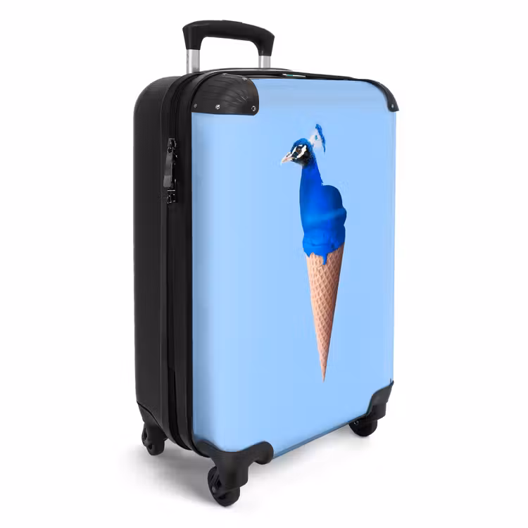 Suitcase - Peacock cone — 4