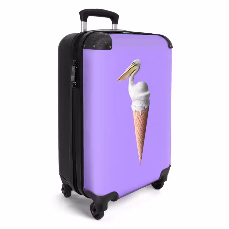 Suitcase - Pelican cone — 4