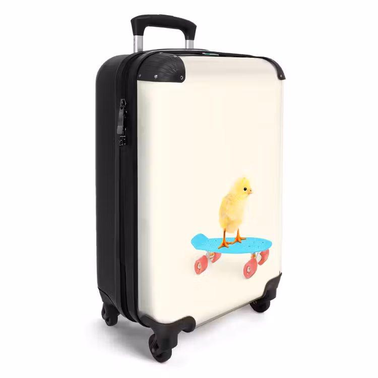 Suitcase - Carrying chick — 4