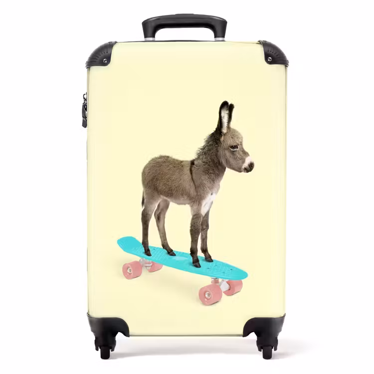 Suitcase - Donkey ride — 1