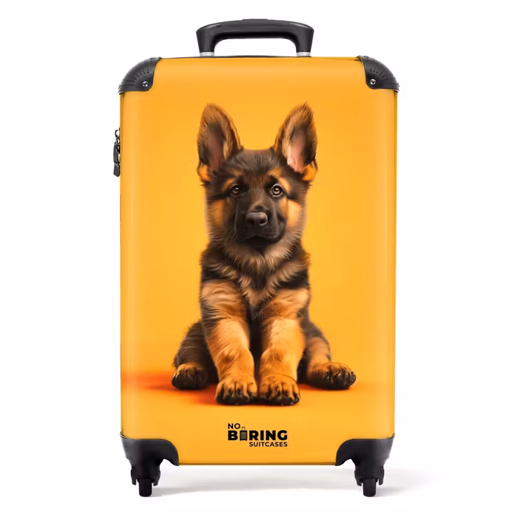 Suitcase - Hein shepherd — 1