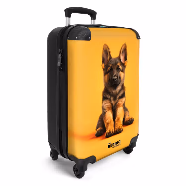 Suitcase - Hein shepherd — 4