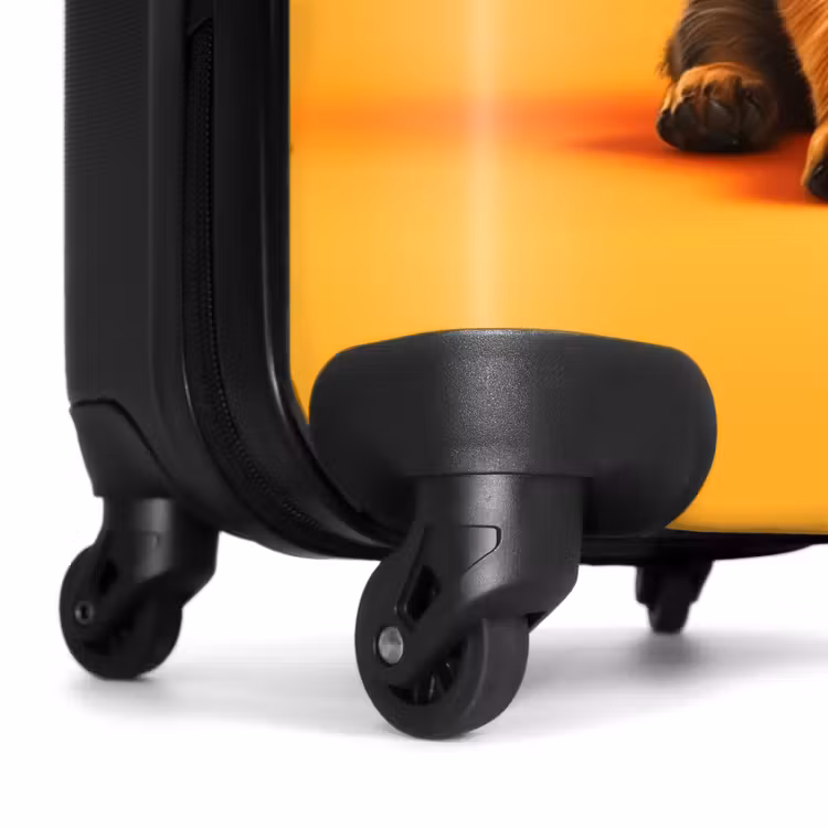 Suitcase - Hein shepherd — 6
