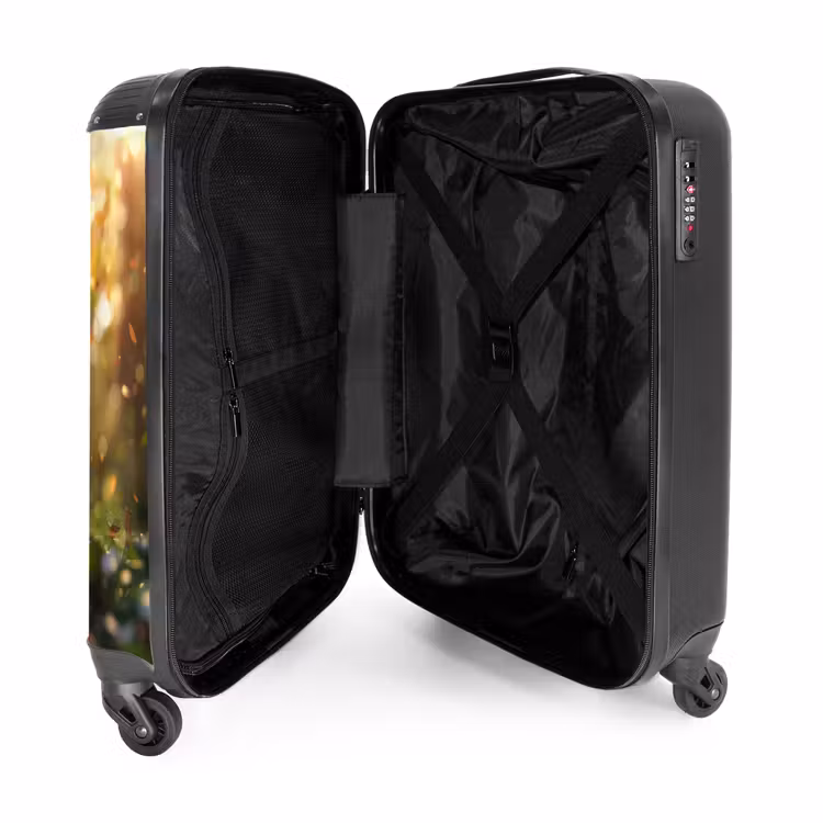 Suitcase - Henry autumn kitten — 3