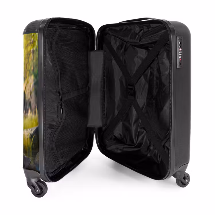 Suitcase - Hessel shepherd — 3