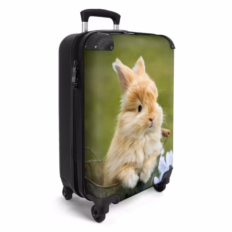Suitcase - Rabbit in flower pot — 4