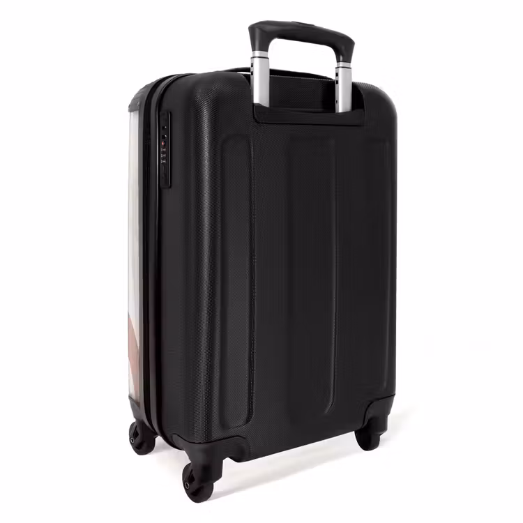 Suitcase - Raw rainbow natural — 2