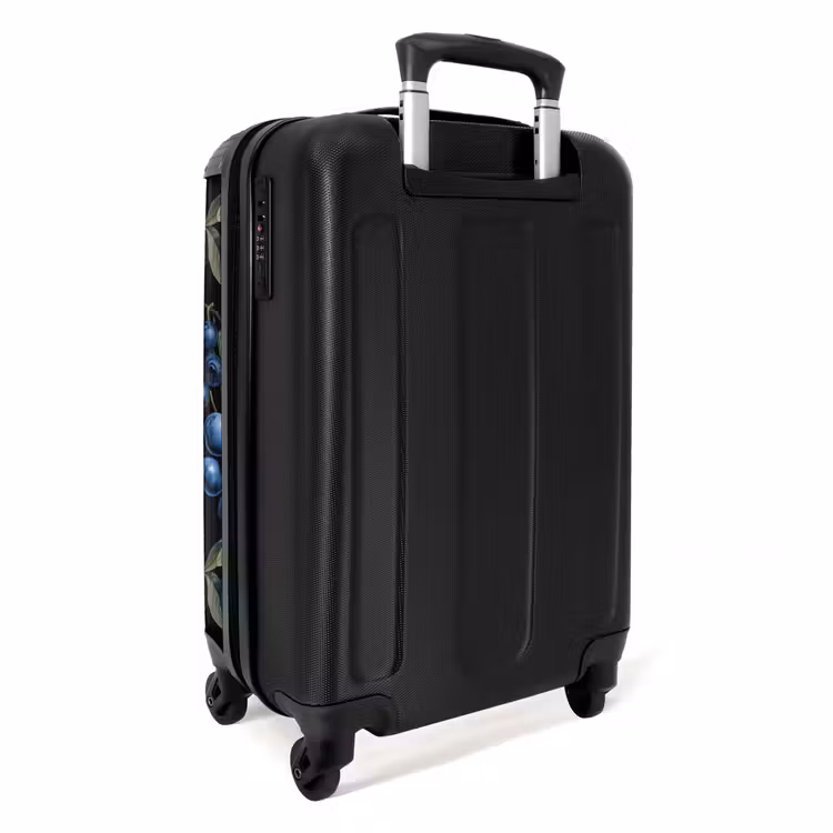 Suitcase - Vintage fruit - blueberries — 2