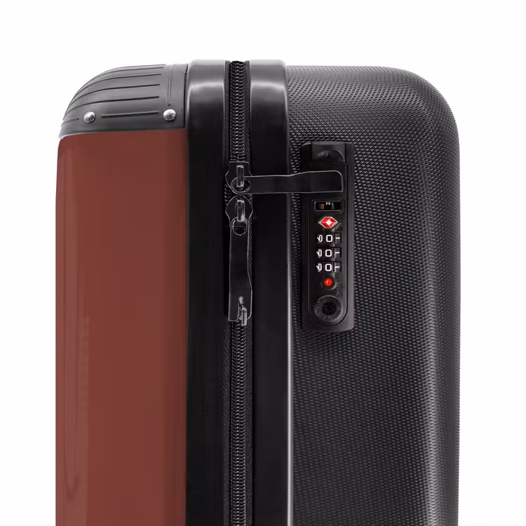 Suitcase - Palm trees - Palm tree on mahogany brown background — 5